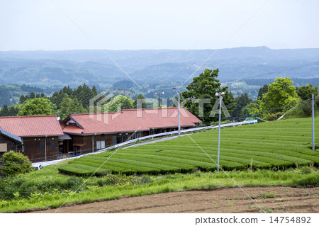 鄉村景觀 14754892