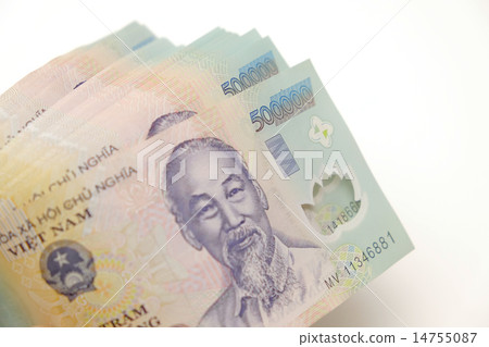 Money in Vietnam 14755087