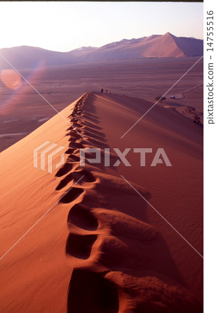 Dune 45 14755516