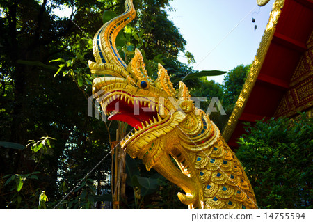 Golden Naga in thai temple Golden Naga in thai temple 14755594