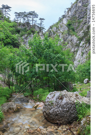 Tasnei Gorge Tasnei Gorge 14756695