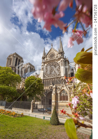Notre Dame cathedral in spring time, Paris, France Notre Dame cathedral in spring time, Paris, France 14756728