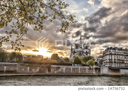 Notre Dame cathedral in spring time, Paris, France 14756732