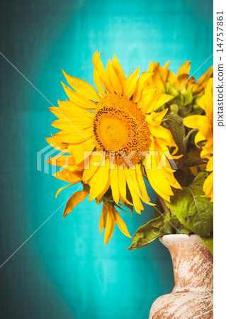 Sunflower still life Sunflower still life 14757861