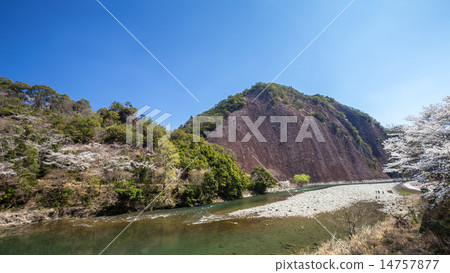 Shikagaragawa巨石的春天 14757877