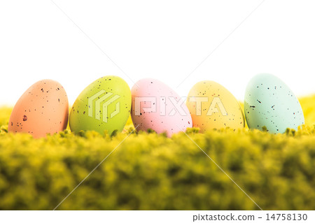 Easter eggs on the grass  14758130