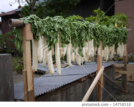 Dried radish 14758518