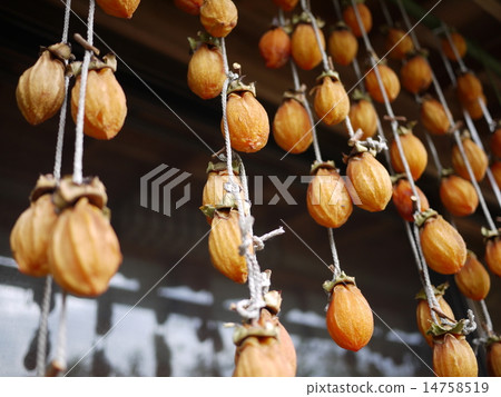 Dried persimmon 14758519