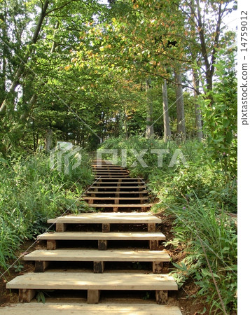 東京Takao的維護良好的攀登路徑 14759012