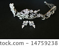 頭飾和耳環 14759238