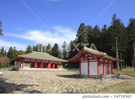 Hiijinji Kanedo and Midomon 14759365