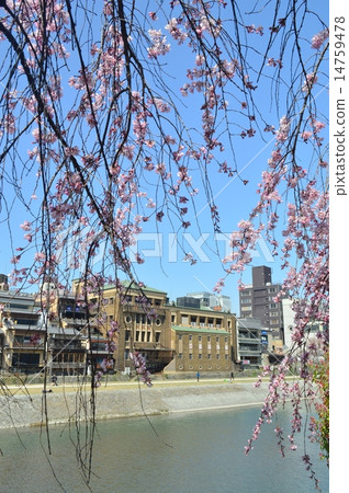 京都三條附近的街道 14759478