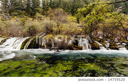 Waterfall in Jiuzhaigou,Sichuan China Waterfall in Jiuzhaigou,Sichuan China 14759520