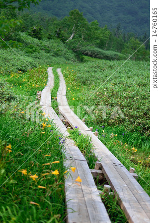 Tsugaike高原的風景 14760165