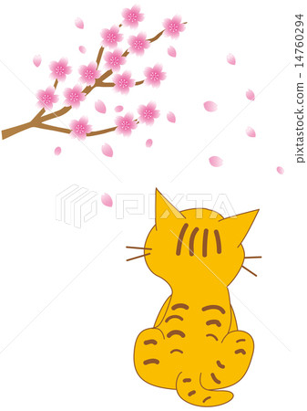貓和櫻花 貓和櫻花 14760294