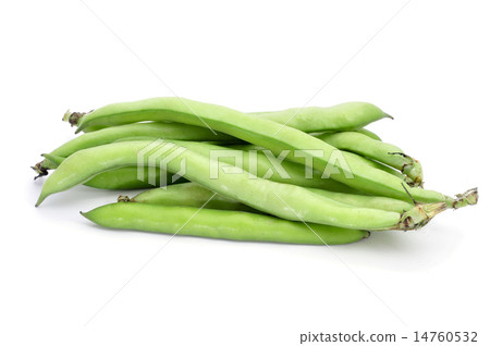 broad bean pods 14760532