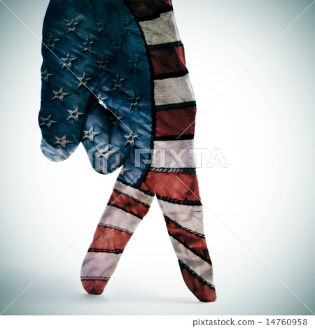american flag walking 14760958