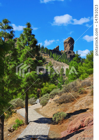 Roque Nublo monolith in Gran Canaria, Spain 14761023