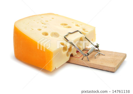 mousetrap with a too large piece of cheese mousetrap with a too large piece of cheese 14761138