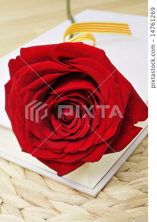 red rose and book, for Saint Georges Day in Catalonia, Spain red rose and book, for Saint Georges Day in Catalonia, Spain 14761269