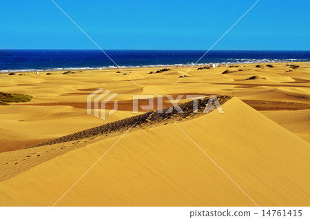 Natural Reserve of Dunes of Maspalomas, in Gran Canaria, Spain 14761415