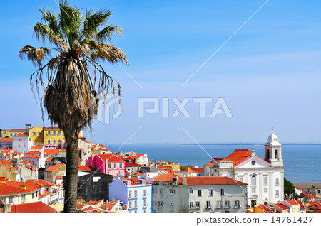 Alfama and the Tagus River in Lisbon, Portugal 14761427