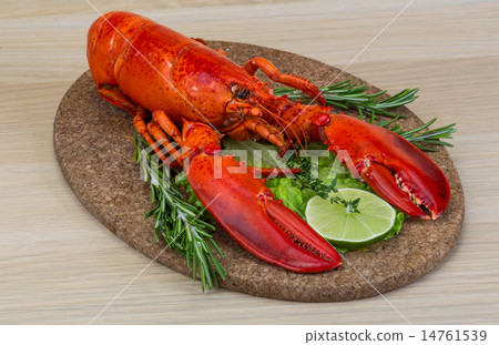 Boiled lobster Boiled lobster 14761539