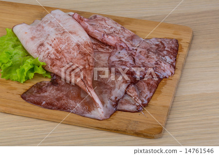 Raw squids Raw squids 14761546