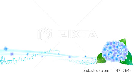 Hydrangea note background 14762643