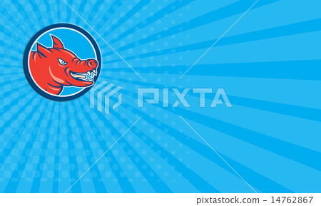 Business card Angry Pig Head Circle Cartoon 14762867