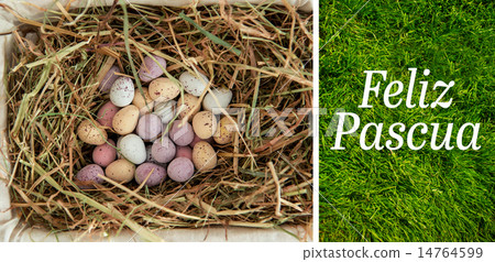 Composite image of feliz pascua Composite image of feliz pascua 14764599