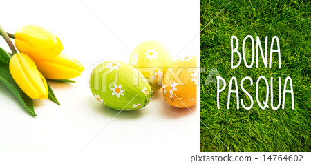 Composite image of bona pasqua Composite image of bona pasqua 14764602