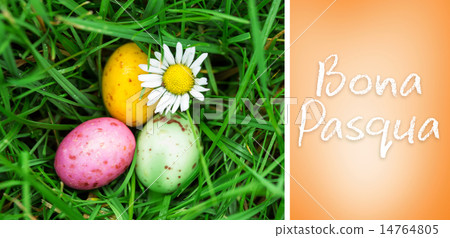Composite image of bona pasqua Composite image of bona pasqua 14764805