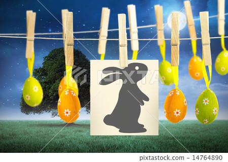 Composite image of easter bunny 14764890