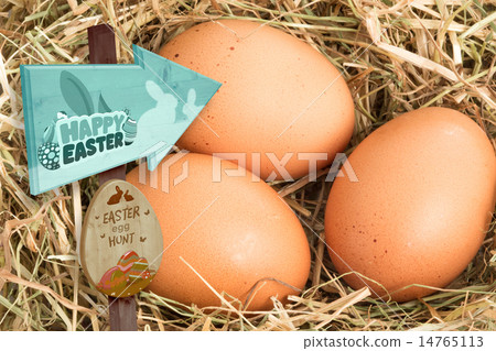 Composite image of easter egg hunt sign 14765113