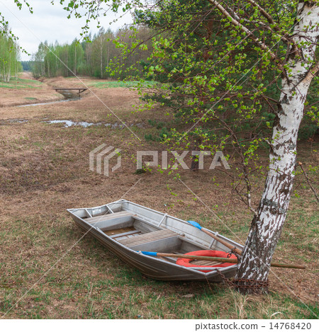 Boat in spring forest Boat in spring forest 14768420