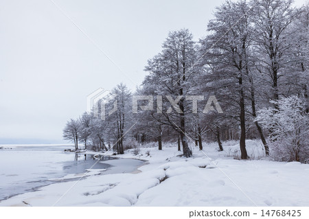 Lake and snow covered trees Lake and snow covered trees 14768425