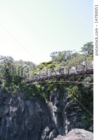 Suspension bridge on Jogasaki coast 14769951