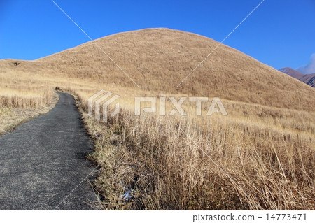 Aso Yonezuka 14773471