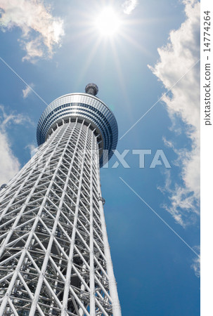 東京天空樹和太陽 14774264