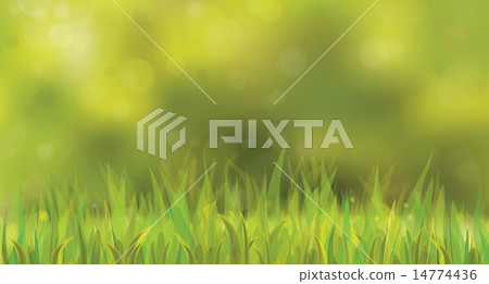 Vector sunny spring background with grass. Vector sunny spring background with grass. 14774436