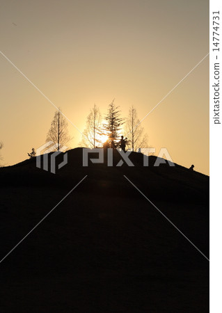 古河綜合公園桃花節 14774731