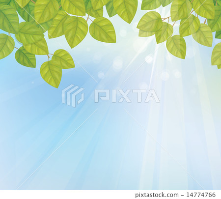Vector birch  branch  leaves on sky  background. 14774766
