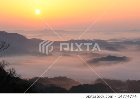 在Kujuku谷的雲海 14774774