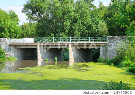 bridge over the river and aquatic plants 14775808
