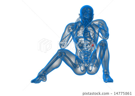 3d render medical illustration of the spleen 14775861