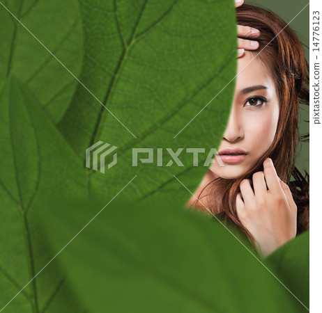 Asian beauty face 14776123