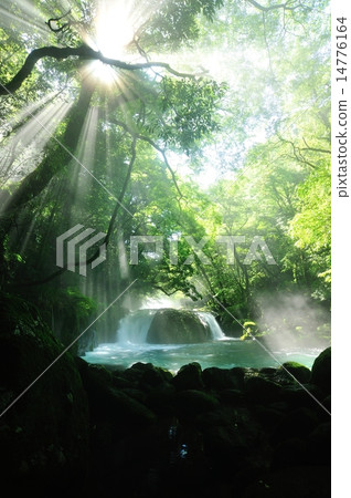 Waterfall of Dawing Waterfall of Dawing 14776164