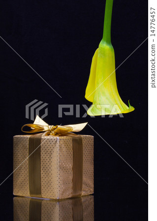 Yellow calla lily and gift on a black  background 14776457