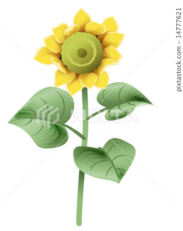 一點點復古向日葵開始綻放 一點點復古向日葵開始綻放 14777621